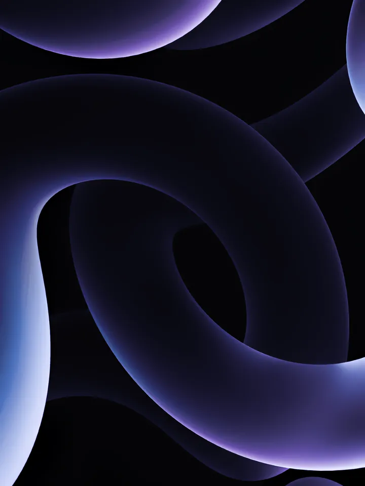 Cover image for the competition slide guide: thick lavender tubes looping over one another